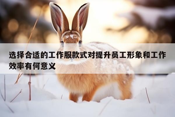 yy易游:选择合适的工作服款式对提升员工形象和工作效率有何意义