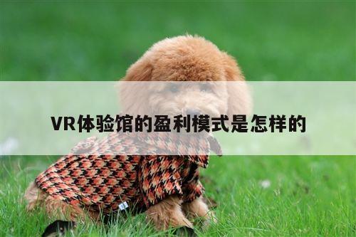 VR体验馆的盈利模式是怎样的|yy易游体育
