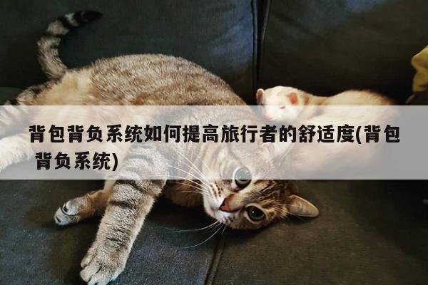 yy易游_背包背负系统如何提高旅行者的舒适度(背包 背负系统)