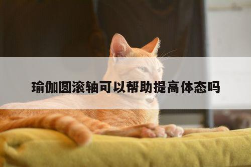 瑜伽圆滚轴可以帮助提高体态吗_yy体育
