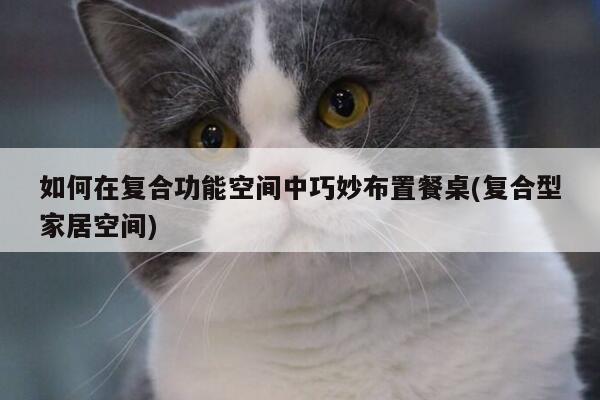 如何在复合功能空间中巧妙布置餐桌(复合型家居空间)：yy易游