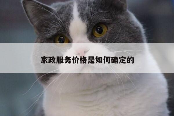【yy易游】家政服务价格是如何确定的