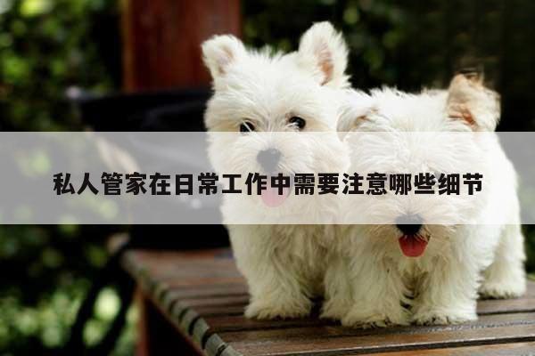 私人管家在日常工作中需要注意哪些细节-易游体育