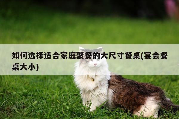 如何选择适合家庭聚餐的大尺寸餐桌(宴会餐桌大小)|yy易游