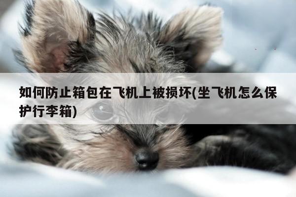 易游体育_如何防止箱包在飞机上被损坏(坐飞机怎么保护行李箱)