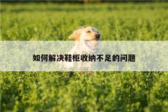 如何解决鞋柜收纳不足的问题|yy易游