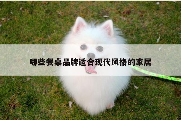yy易游体育:哪些餐桌品牌适合现代风格的家居