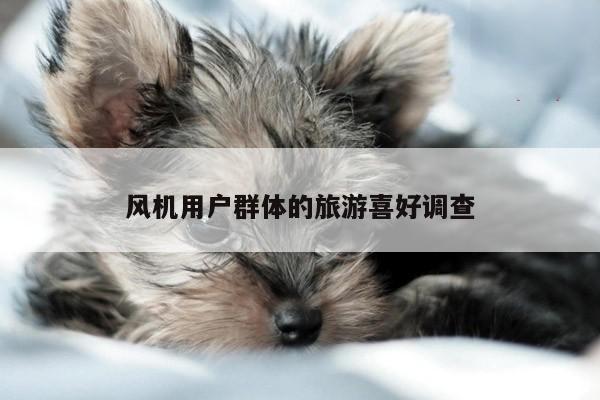 yy易游-风机用户群体的旅游喜好调查