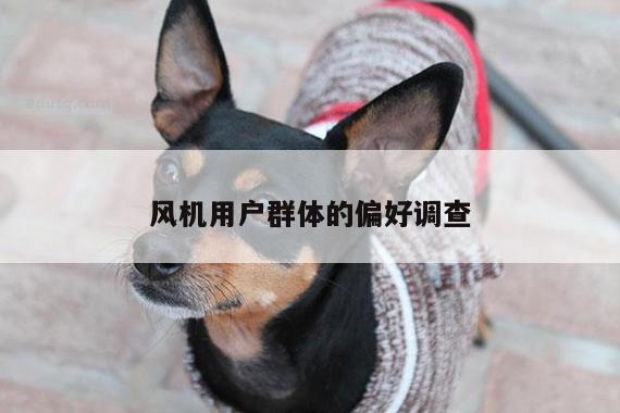 yy易游体育-风机用户群体的偏好调查