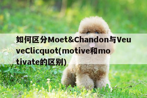 如何区分Moet&Chandon与VeuveClicquot(motive和motivate的区别)|yy体育