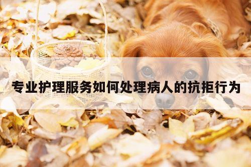 专业护理服务如何处理病人的抗拒行为【易游体育】