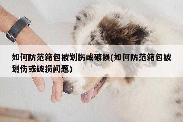 如何防范箱包被划伤或破损(如何防范箱包被划伤或破损问题)【yy易游】