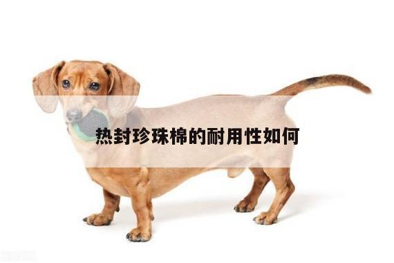 易游体育:热封珍珠棉的耐用性如何
