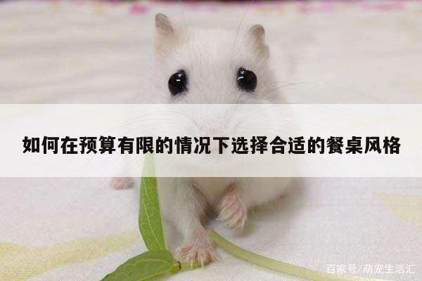 如何在预算有限的情况下选择合适的餐桌风格-易游体育