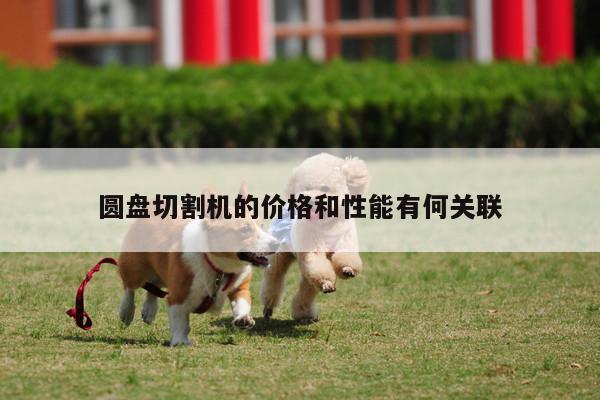 yy易游-圆盘切割机的价格和性能有何关联
