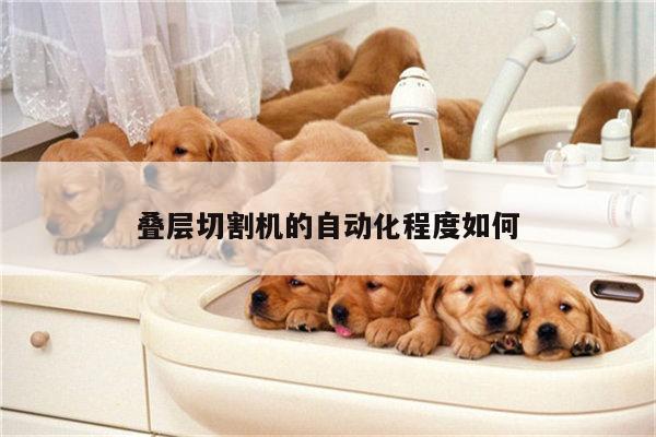yy易游体育_叠层切割机的自动化程度如何