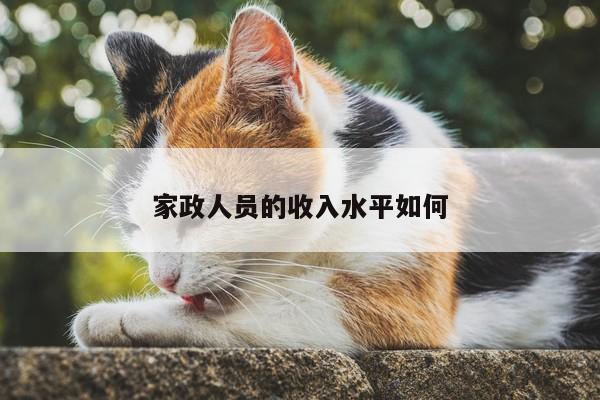 家政人员的收入水平如何-易游体育