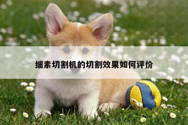 细素切割机的切割效果如何评价【易游体育】