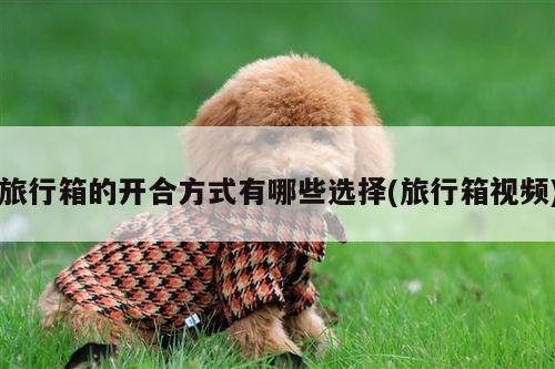 【易游体育】旅行箱的开合方式有哪些选择(旅行箱视频)