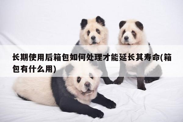 yy易游体育|长期使用后箱包如何处理才能延长其寿命(箱包有什么用)