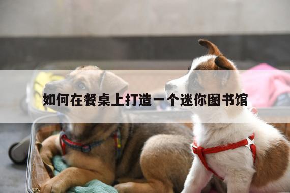 如何在餐桌上打造一个迷你图书馆：易游体育