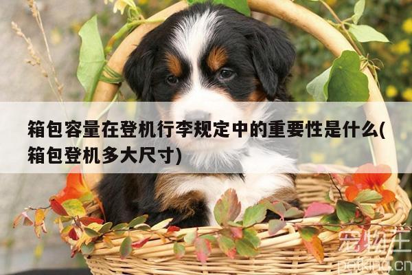 yy易游_箱包容量在登机行李规定中的重要性是什么(箱包登机多大尺寸)