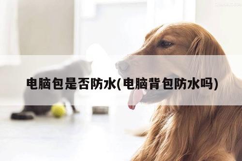 yy易游_电脑包是否防水(电脑背包防水吗)