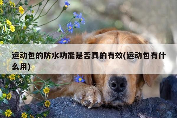 yy体育:运动包的防水功能是否真的有效(运动包有什么用)