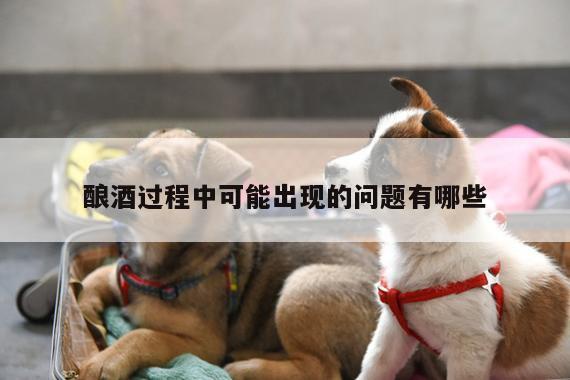 酿酒过程中可能出现的问题有哪些|yy易游体育