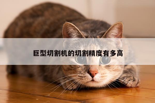 【yy体育】巨型切割机的切割精度有多高
