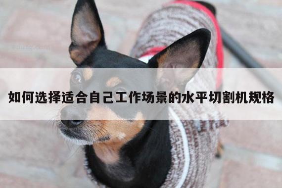 yy体育-如何选择适合自己工作场景的水平切割机规格