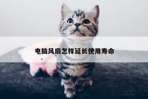 电脑风扇怎样延长使用寿命：易游体育