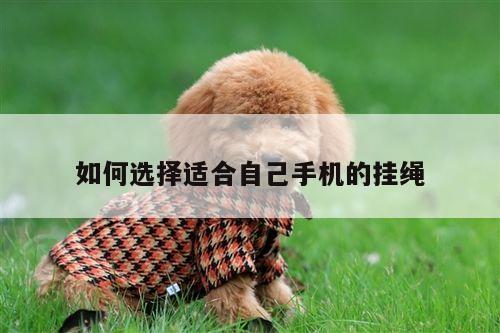 yy体育_如何选择适合自己手机的挂绳