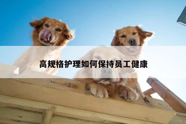 高规格护理如何保持员工健康-yy易游