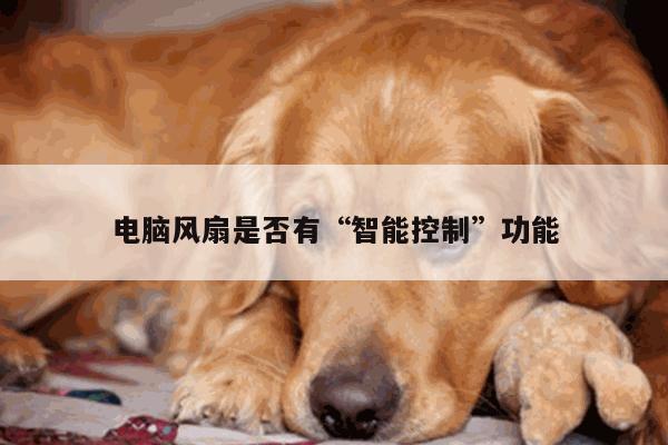 yy体育|电脑风扇是否有“智能控制”功能