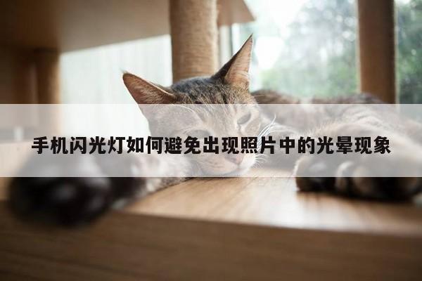 yy易游_手机闪光灯如何避免出现照片中的光晕现象