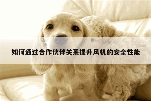 如何通过合作伙伴关系提升风机的安全性能-yy易游