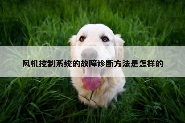 风机控制系统的故障诊断方法是怎样的【yy易游体育】