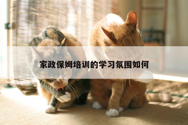 家政保姆培训的学习氛围如何|易游体育