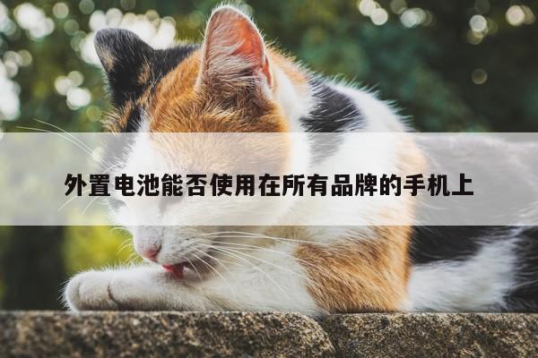 易游体育_外置电池能否使用在所有品牌的手机上
