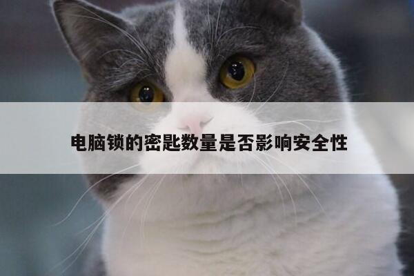【yy体育】电脑锁的密匙数量是否影响安全性