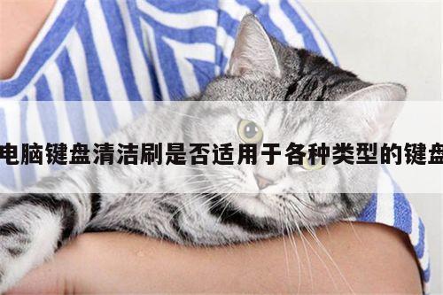 yy易游体育:电脑键盘清洁刷是否适用于各种类型的键盘
