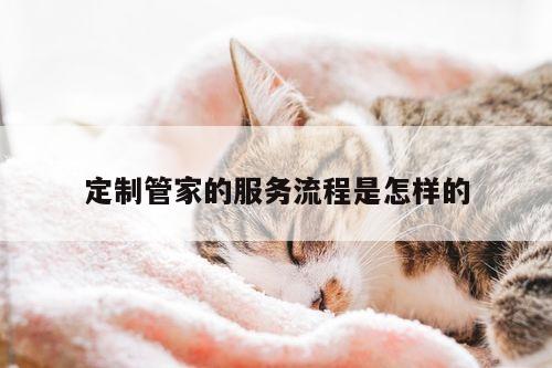 定制管家的服务流程是怎样的:yy易游