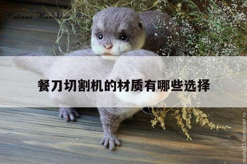 yy易游:餐刀切割机的材质有哪些选择