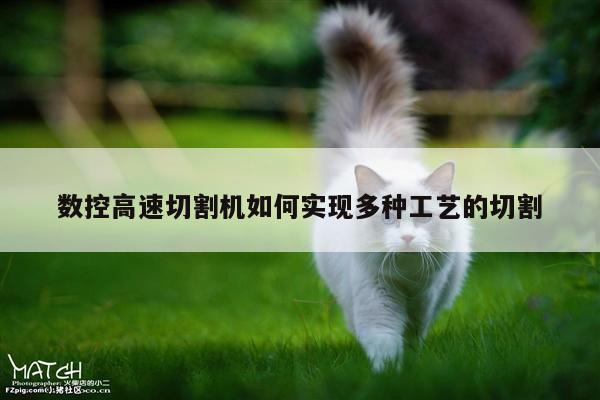 数控高速切割机如何实现多种工艺的切割:yy易游