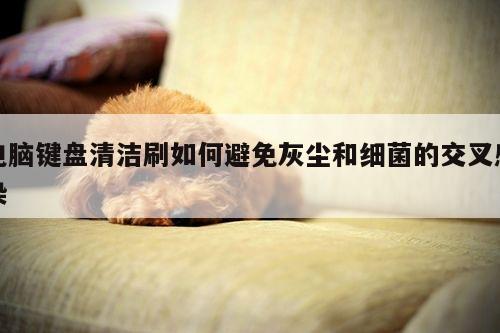 yy易游|电脑键盘清洁刷如何避免灰尘和细菌的交叉感染