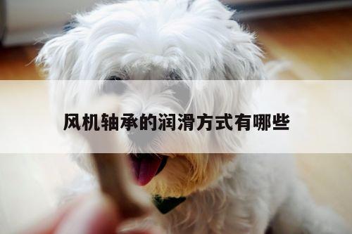 风机轴承的润滑方式有哪些-yy易游