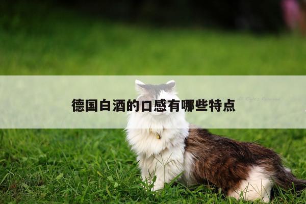 【易游体育】德国白酒的口感有哪些特点