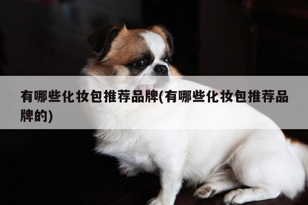 有哪些化妆包推荐品牌(有哪些化妆包推荐品牌的)-yy易游体育