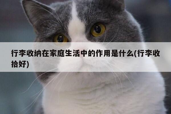 yy体育|行李收纳在家庭生活中的作用是什么(行李收拾好)